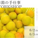 梅干づくりワークショップのご案内