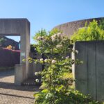 1～2月オープンデイ＆出店日のお知らせ