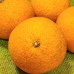 【メディカルハーブワークショップ】4月のメニューと営業情報